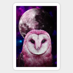 Barn owl in galaxy with full moon Sticker